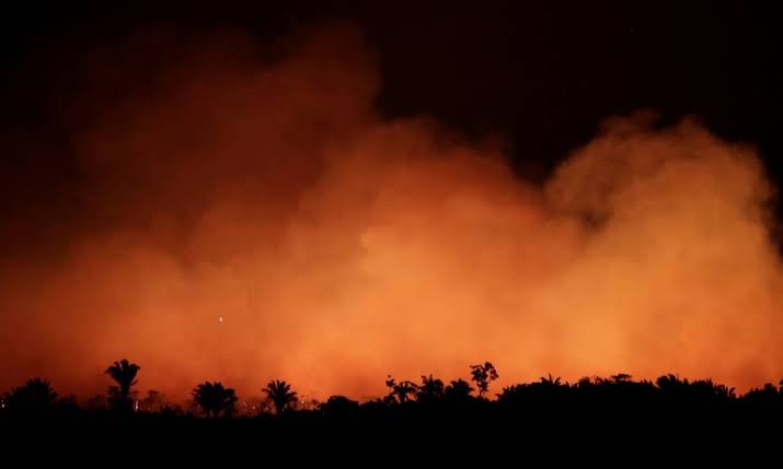 Incêndio na Amazônia: Anitta, Pabllo Vittar, Luísa Sonza, Demi Lovato, Ariana Grande e outros artistas se pronunciam sobre o ocorrido