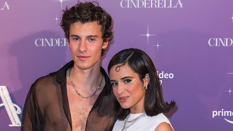 Camila Cabello revela trecho de música que escreveu para Shawn Mendes